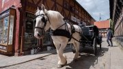 Den-Gamle-By-25