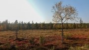 ODW-Kaklautanen-3