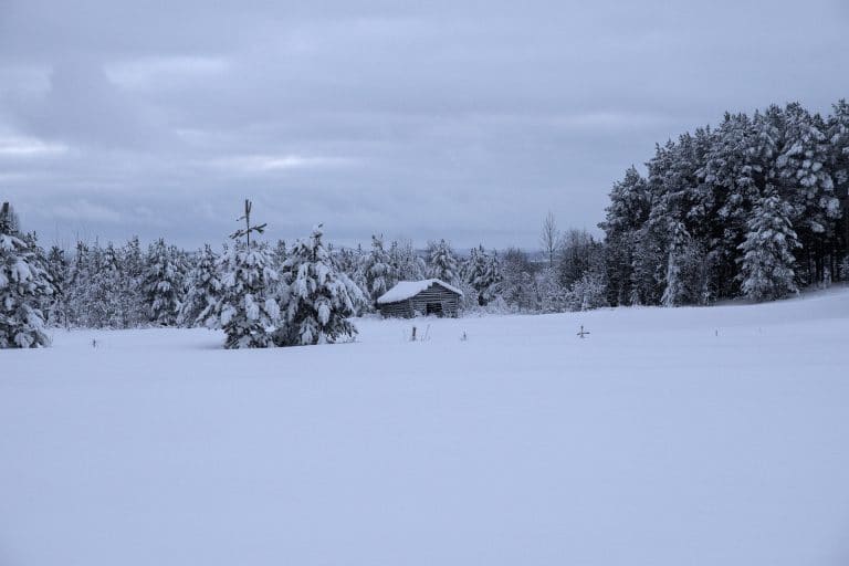 Finland landscape