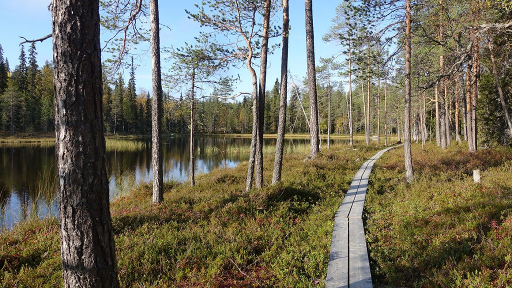 board walk