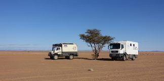 bakkie geparkeerd naast een boom in de woestijn