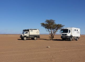 bakkie geparkeerd naast een boom in de woestijn