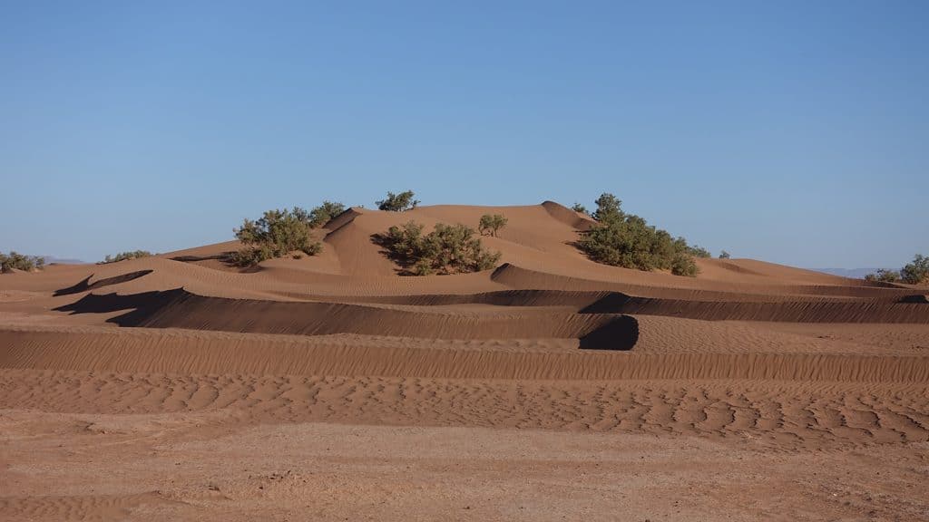 sand dunes in Morocco