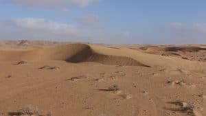 woestijn duinen